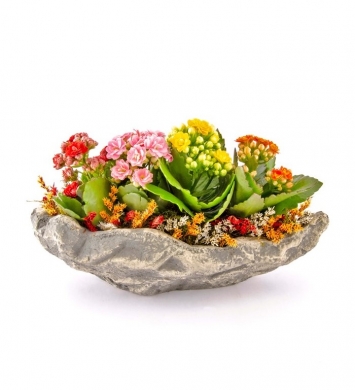 Kayık saksıda renkli kalanchoe 